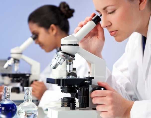 SAMe可用于治療ADHD嗎？