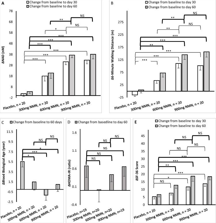 安慰劑組和三個(gè)NMN治療組60天療效變化