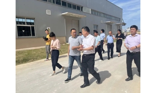 市委常委、副市長呂棟來公司調研