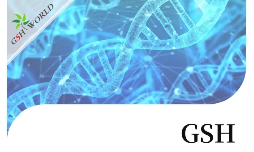 行業(yè)關注 - 谷胱甘肽結合幾種不同抗癌化療藥物的生物學作用