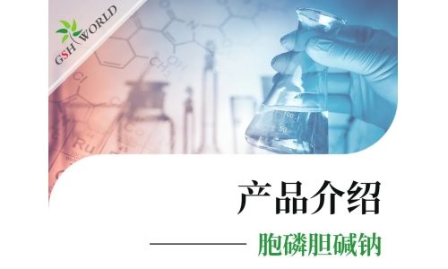 產(chǎn)品介紹 - 胞磷膽堿鈉——被廣泛應(yīng)用的神經(jīng)保護劑