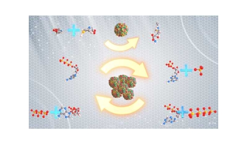 什么是“酶法合成偶聯(lián)ATP再生技術”？