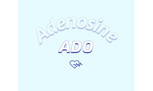 腺苷能做什么？