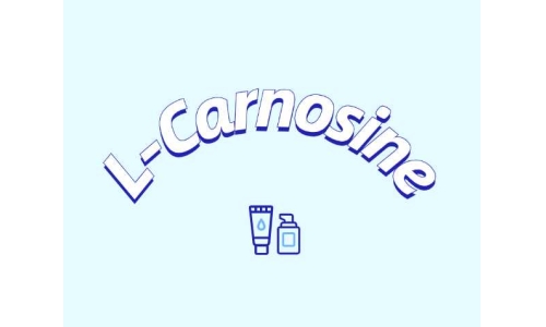 L-肌肽有什么應(yīng)用？