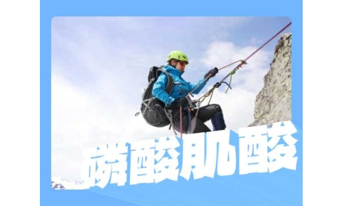 磷酸肌酸粉末有什么用途？