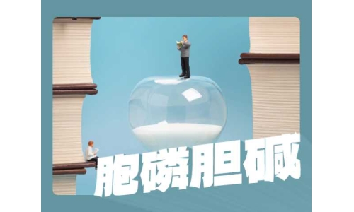 胞磷膽堿比膽堿更好嗎？